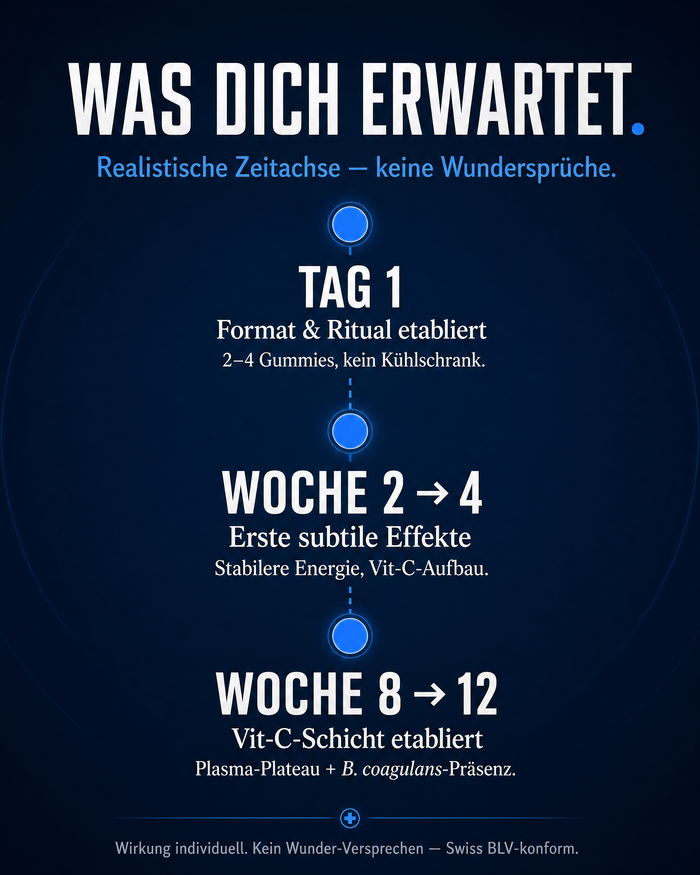 de carousel-7-timeline