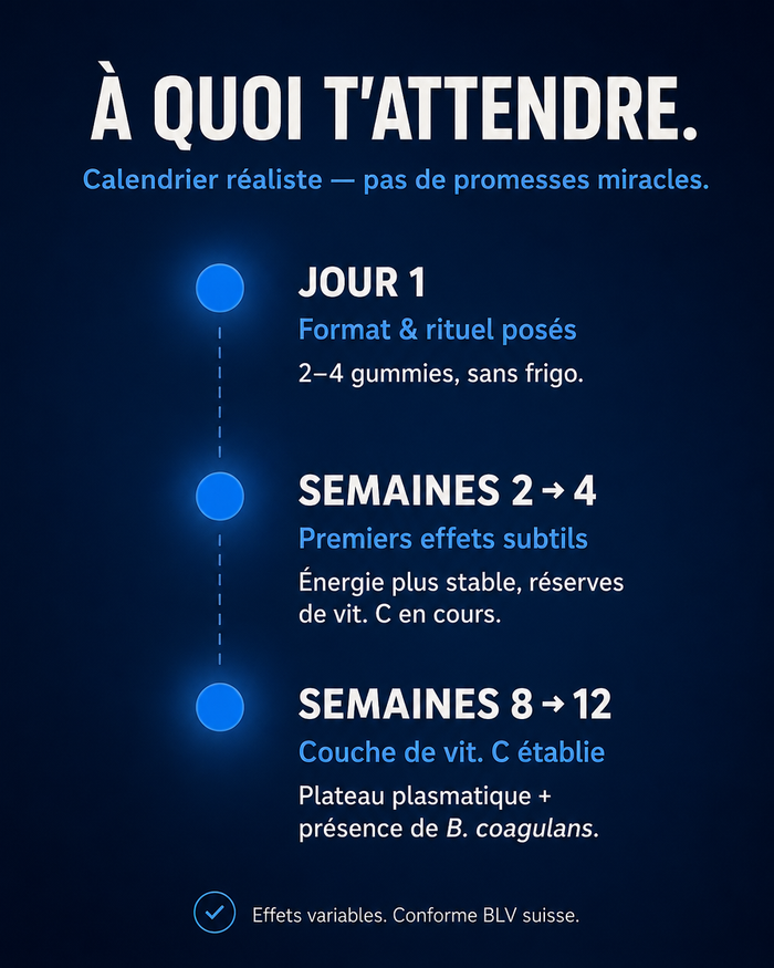 fr carousel-7-timeline