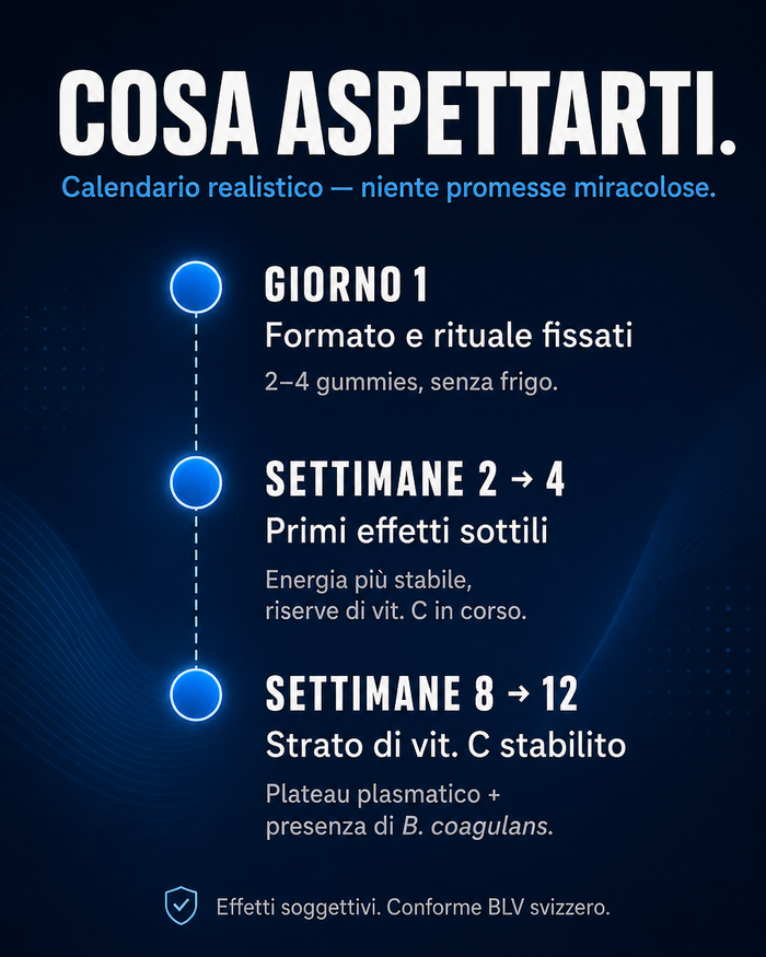 it carousel-7-timeline