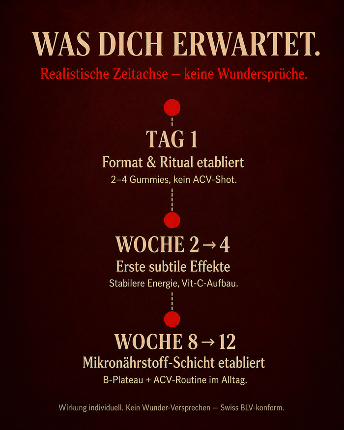 de carousel-7-timeline