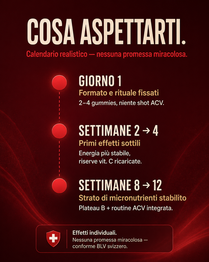 it carousel-7-timeline