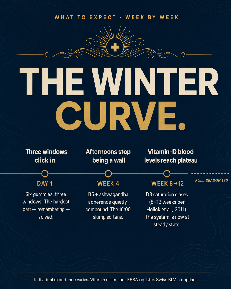 Winter Immunity Stack — SolarSip + Radiance + TakeItEasy — carousel-7-timeline