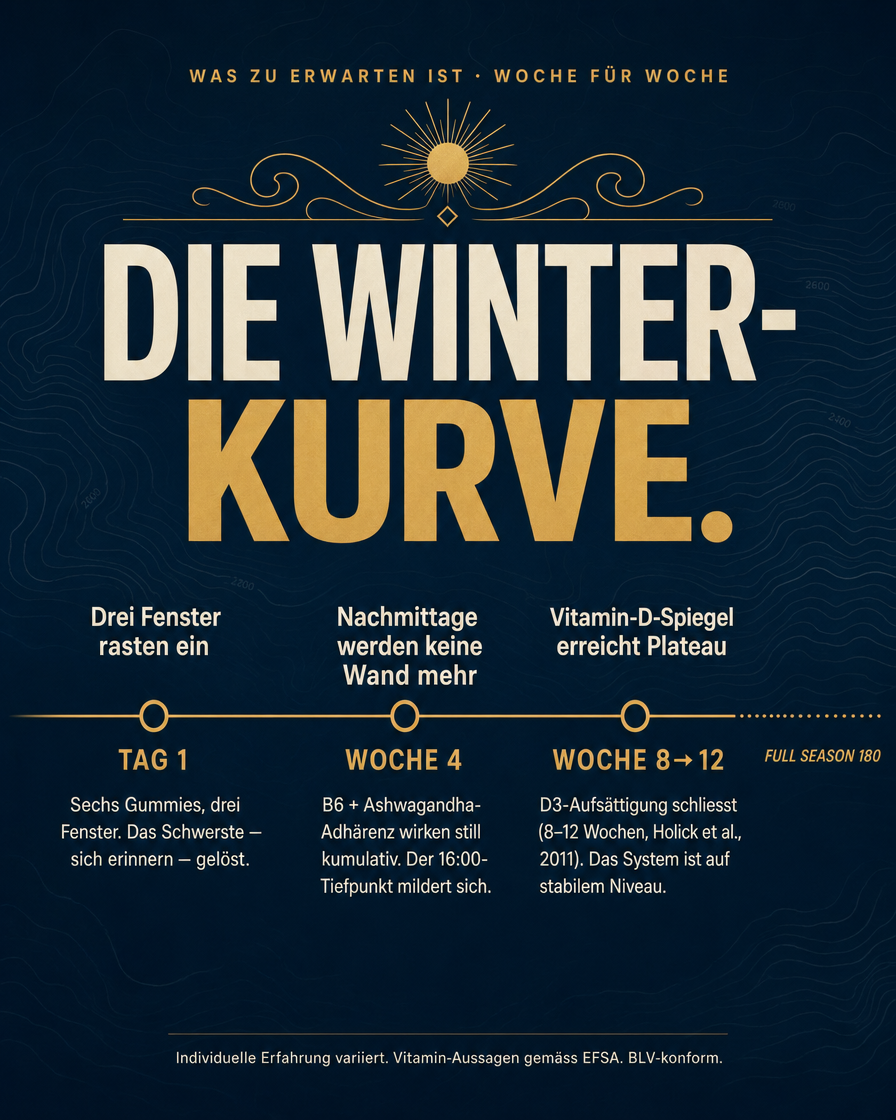 Winter Immunity Stack — SolarSip + Radiance + TakeItEasy — DE — carousel-7-timeline