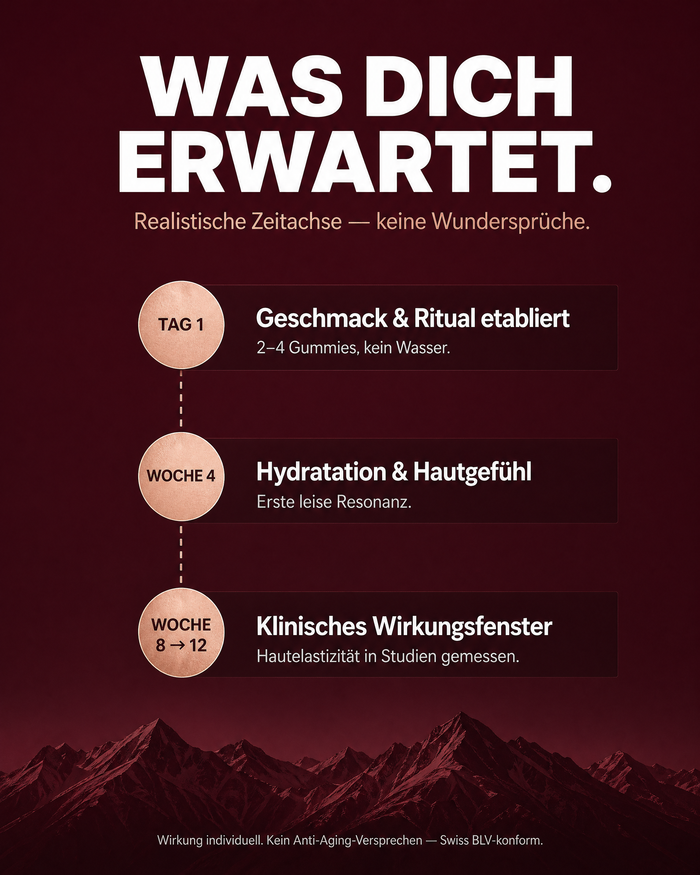 de carousel-7-timeline