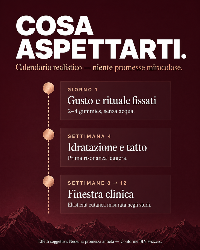 it carousel-7-timeline