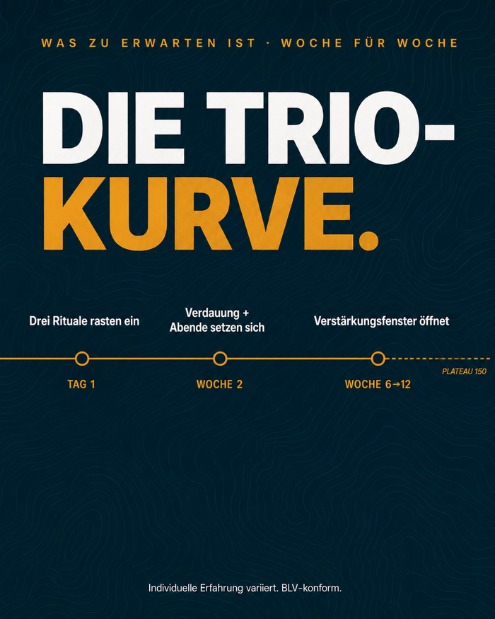 de carousel-7-timeline