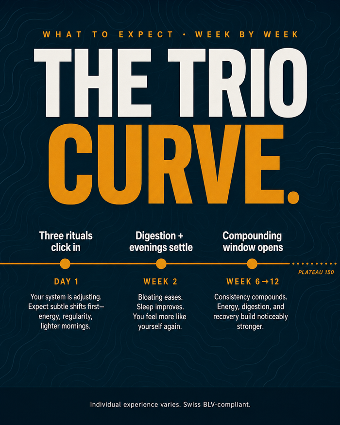 daily-trio en carousel-7-timeline
