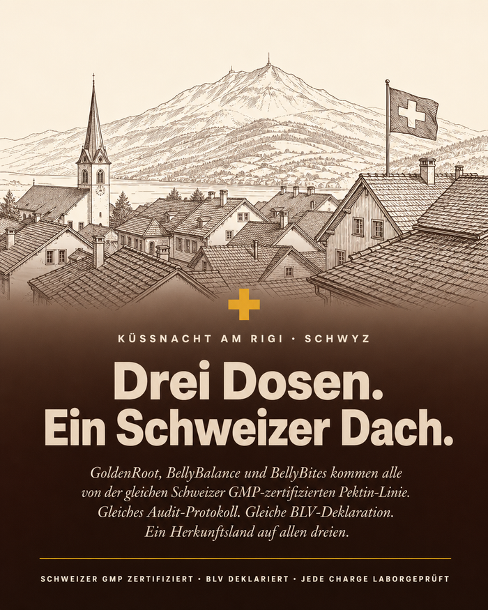 de carousel-6-swiss-made