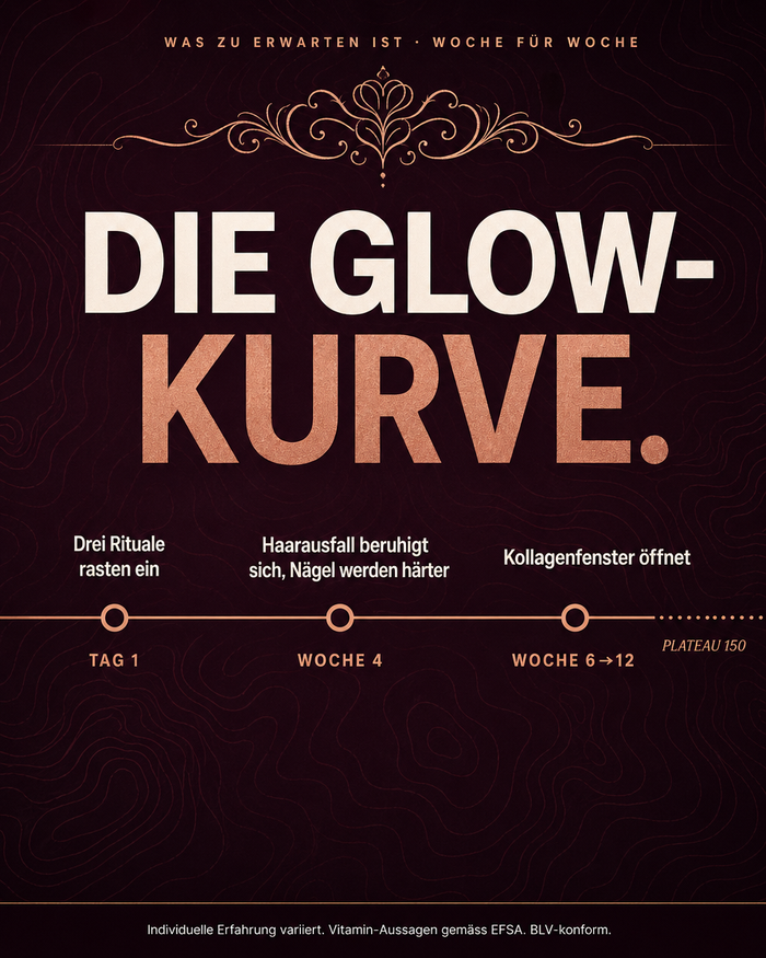 de carousel-7-timeline