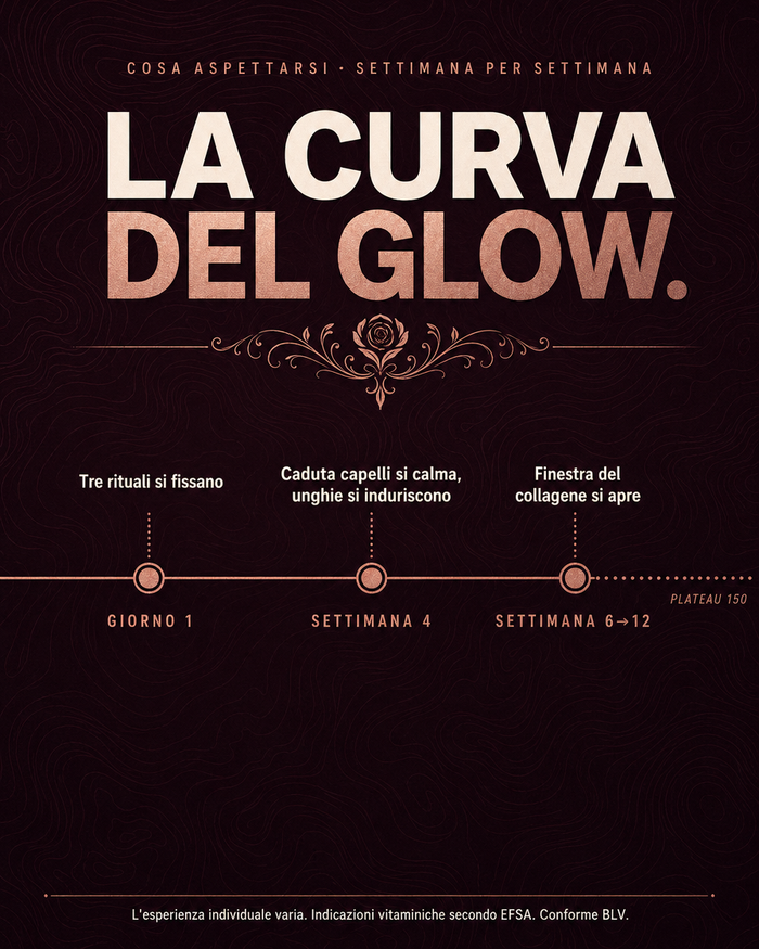 it carousel-7-timeline