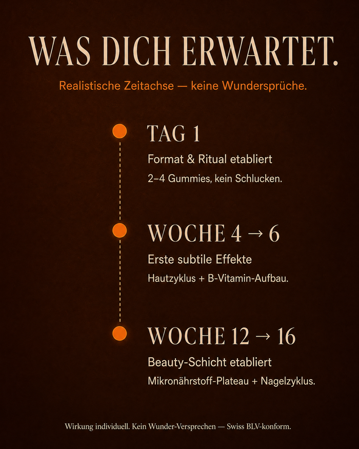 de carousel-7-timeline