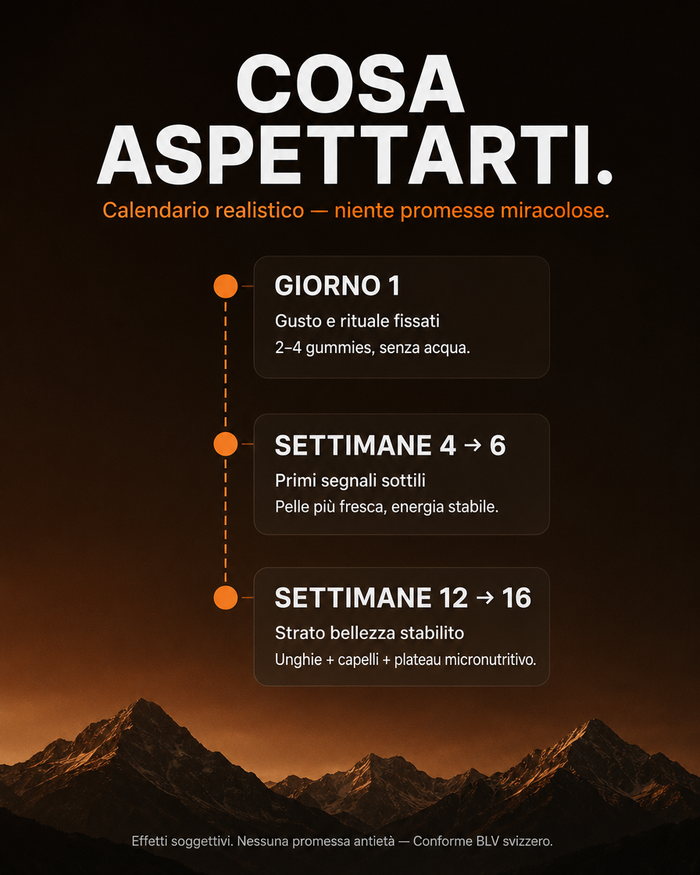 it carousel-7-timeline