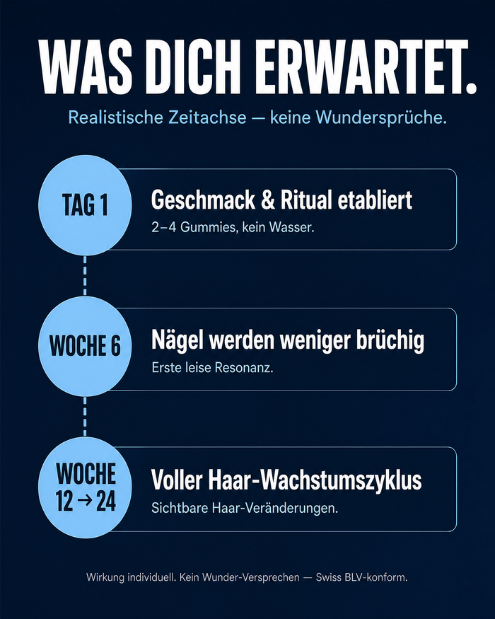 de carousel-7-timeline