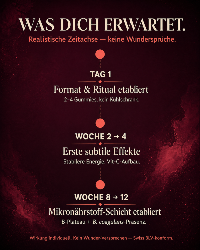 de carousel-7-timeline