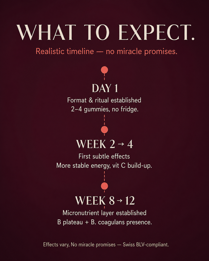 en carousel-7-timeline