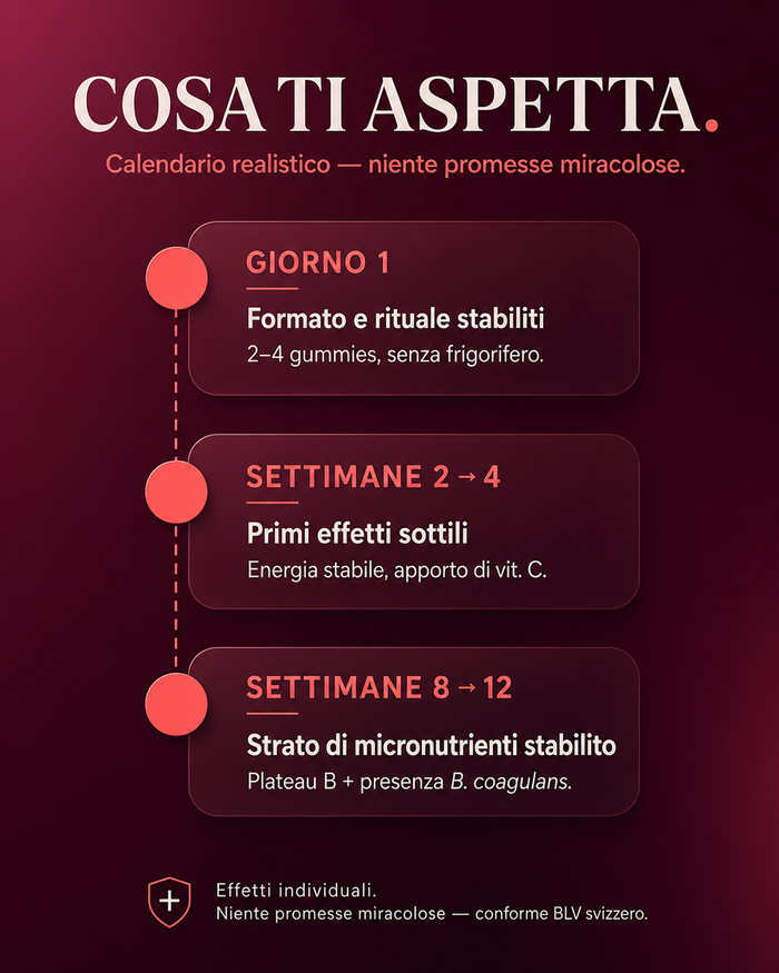 it carousel-7-timeline