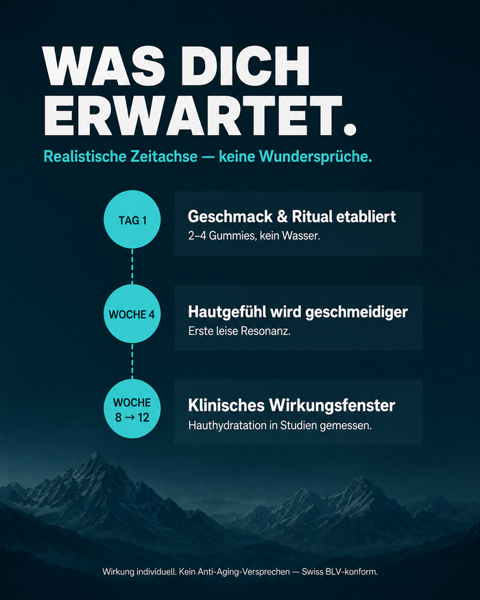 de carousel-7-timeline