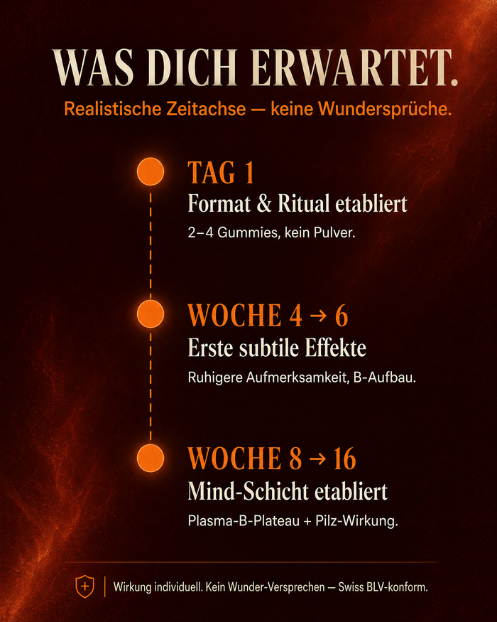 de carousel-7-timeline