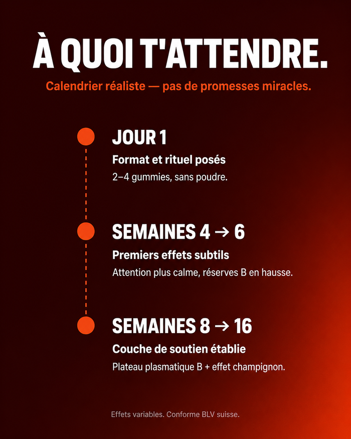 fr carousel-7-timeline