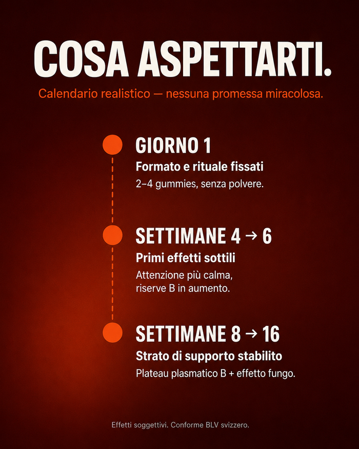 it carousel-7-timeline