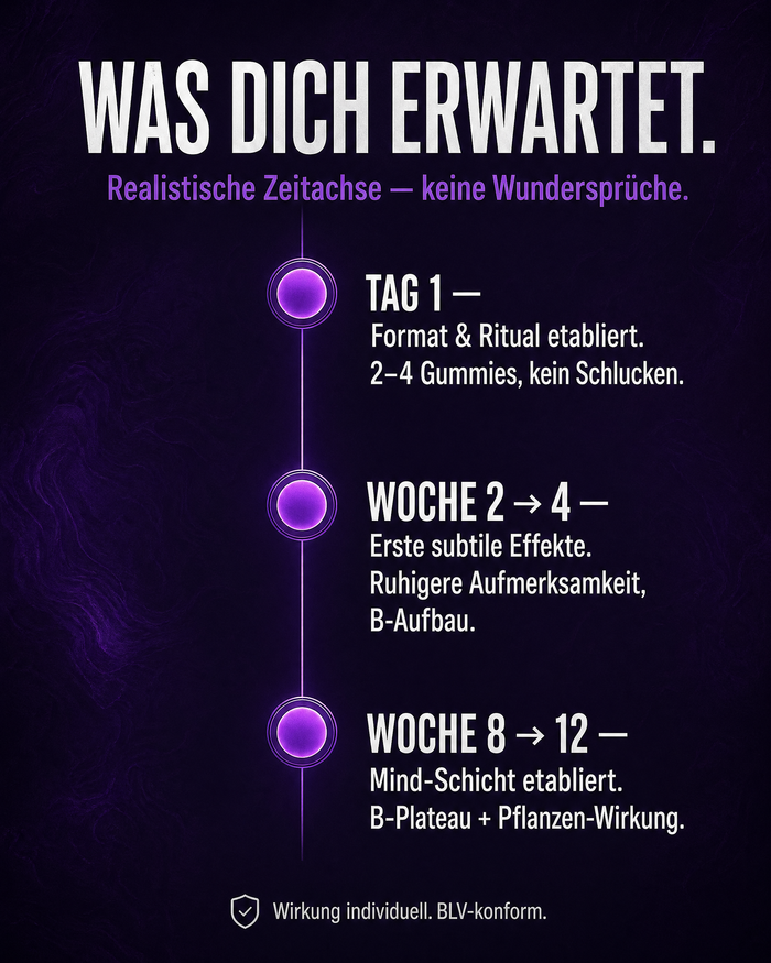 de carousel-7-timeline