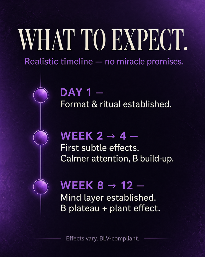 en carousel-7-timeline