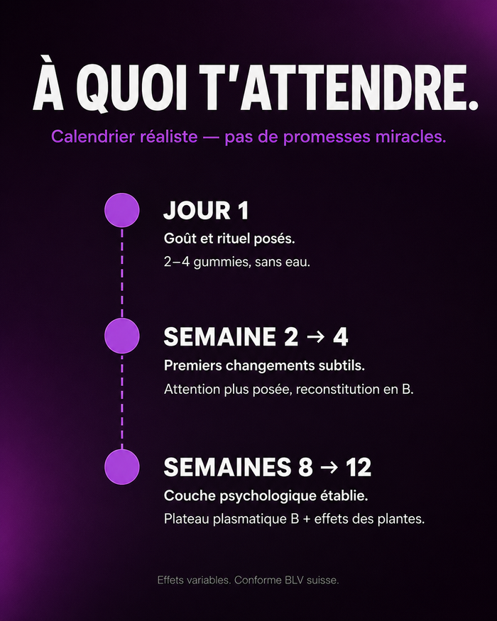 fr carousel-7-timeline