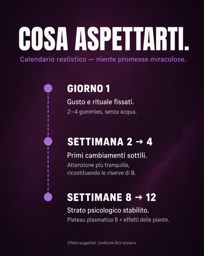 it carousel-7-timeline