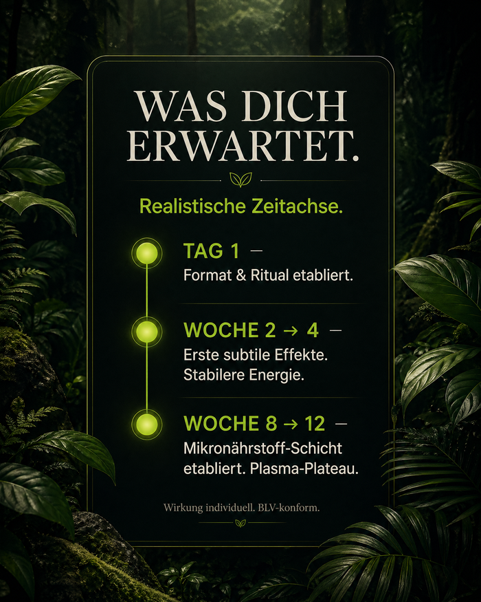 de carousel-7-timeline