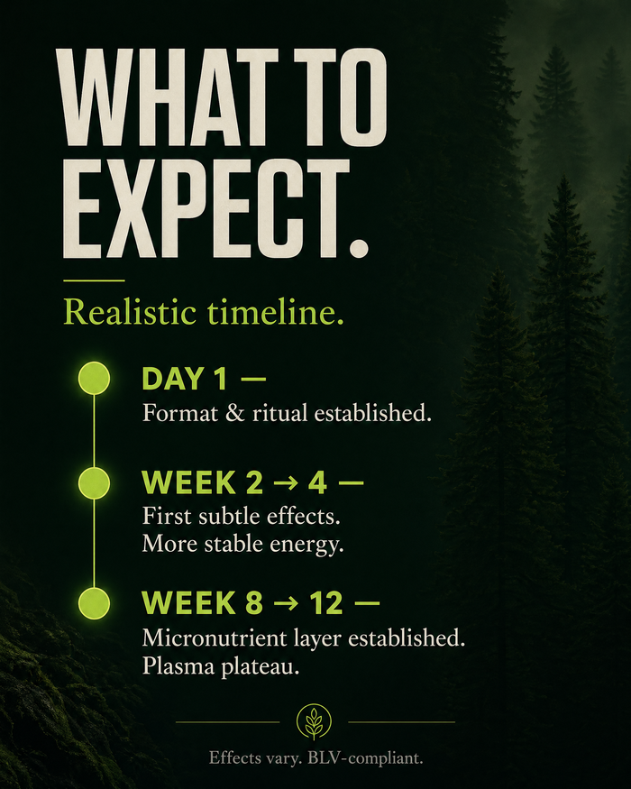 en carousel-7-timeline