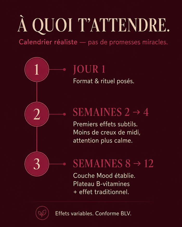 fr carousel-7-timeline