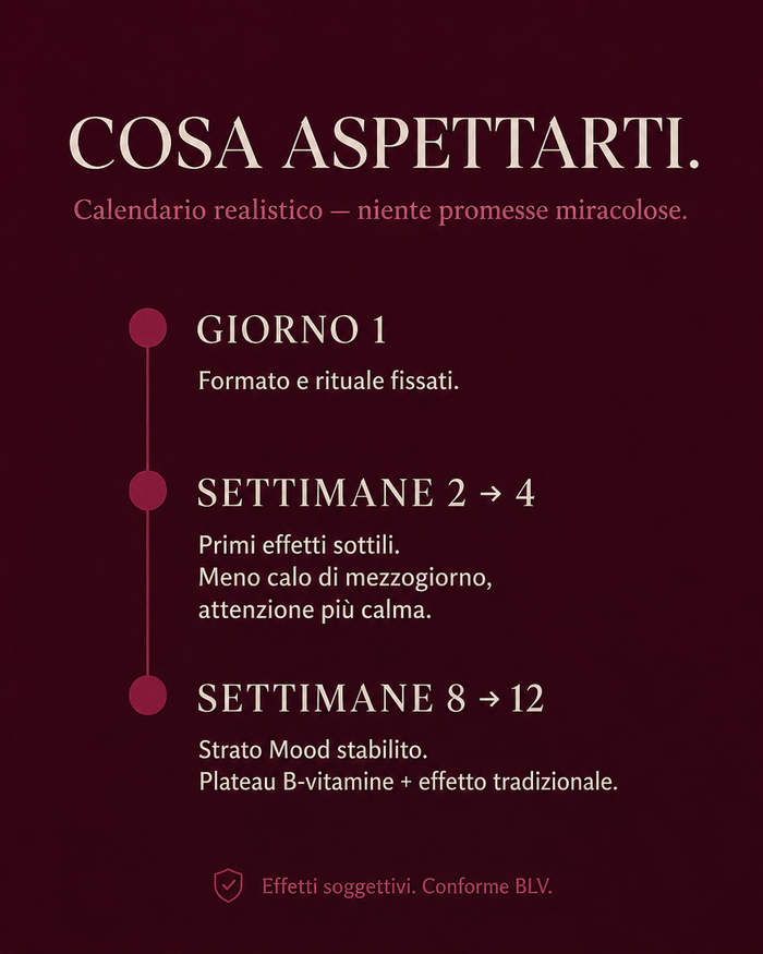 it carousel-7-timeline