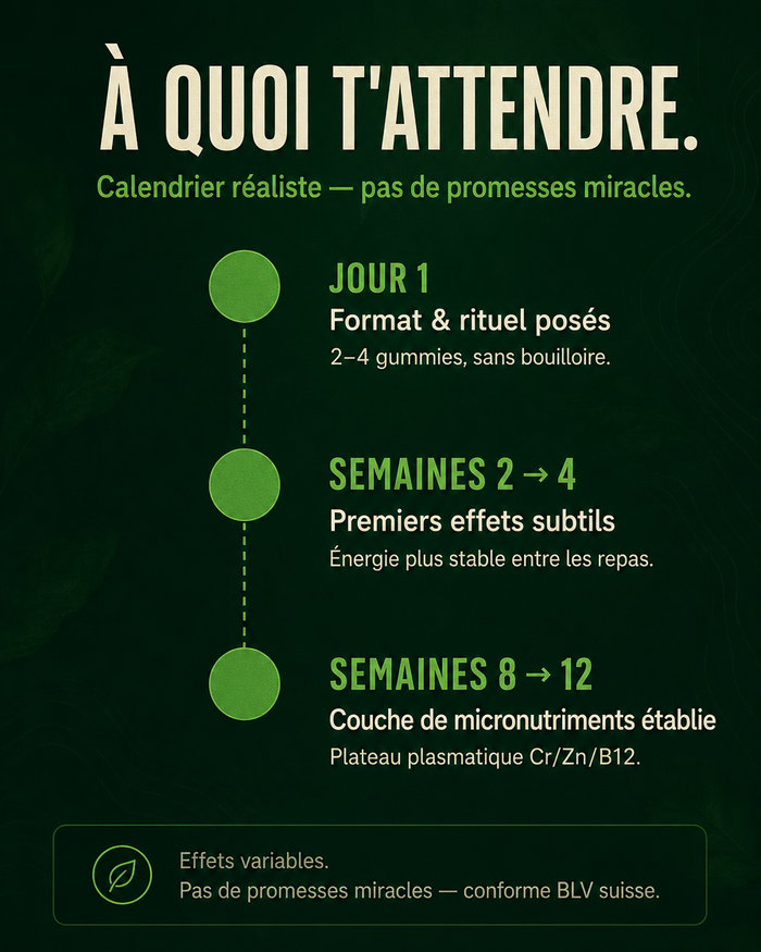 fr carousel-7-timeline