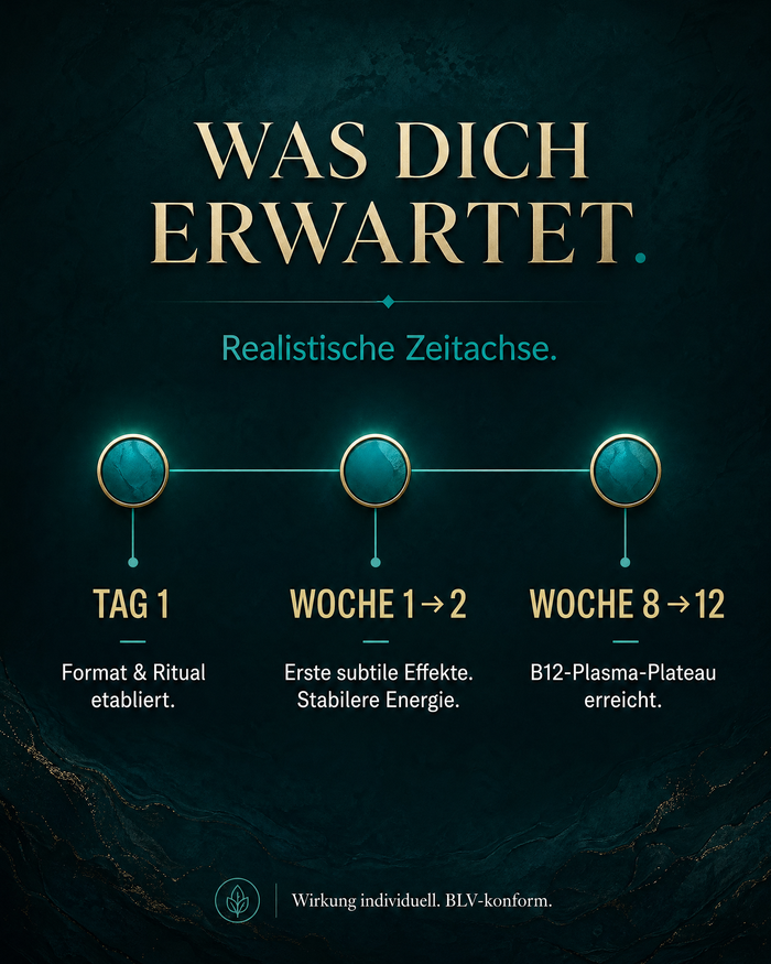 de carousel-7-timeline