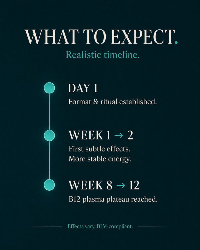 en carousel-7-timeline