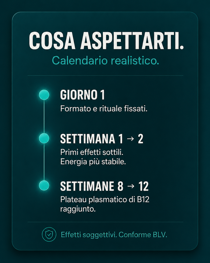 it carousel-7-timeline