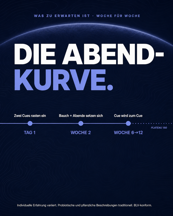 de carousel-7-timeline