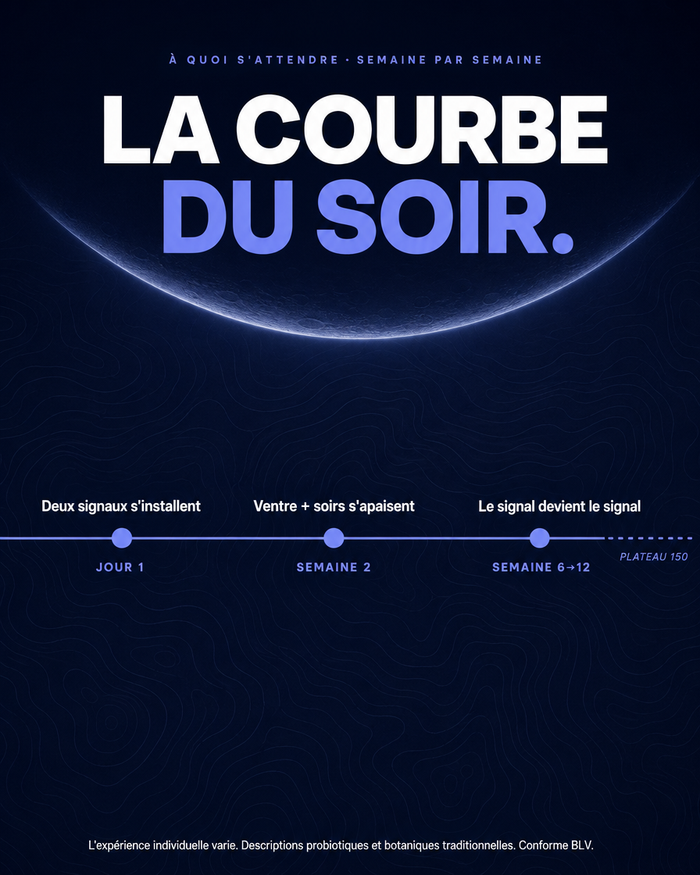 fr carousel-7-timeline