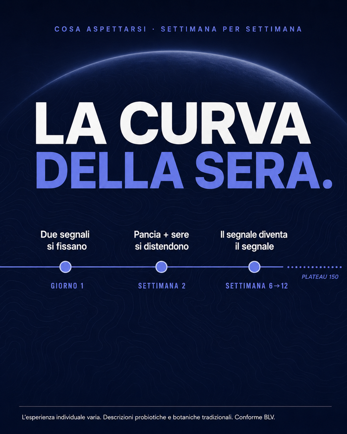 it carousel-7-timeline