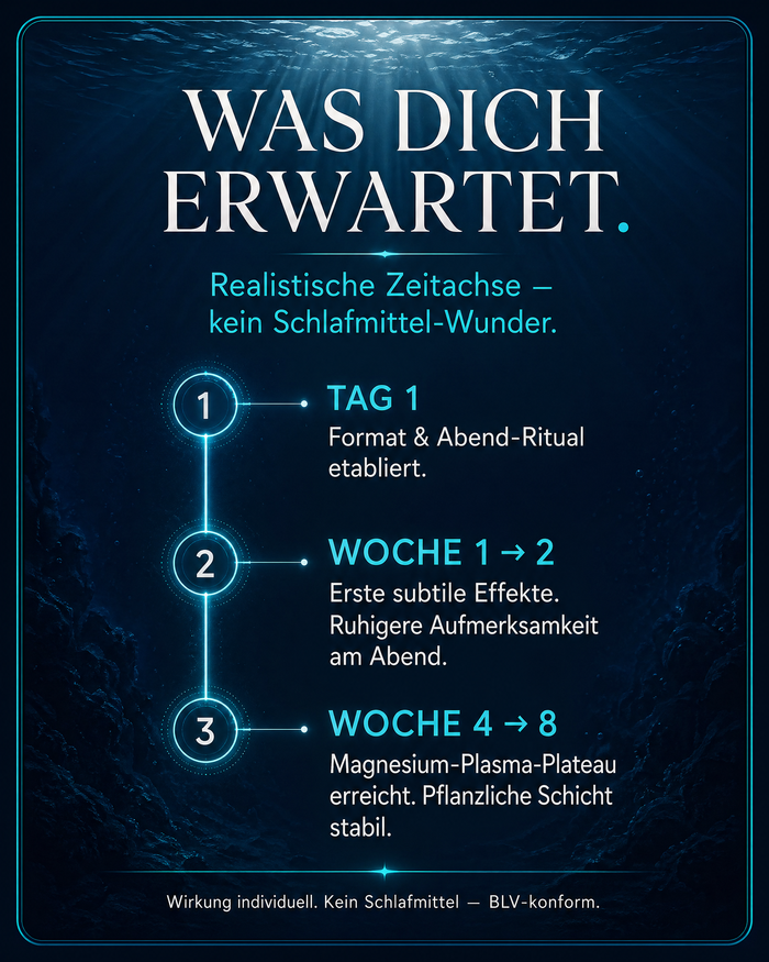 de carousel-7-timeline