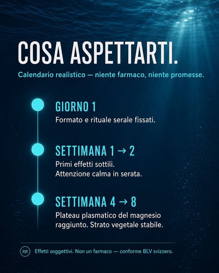 it carousel-7-timeline