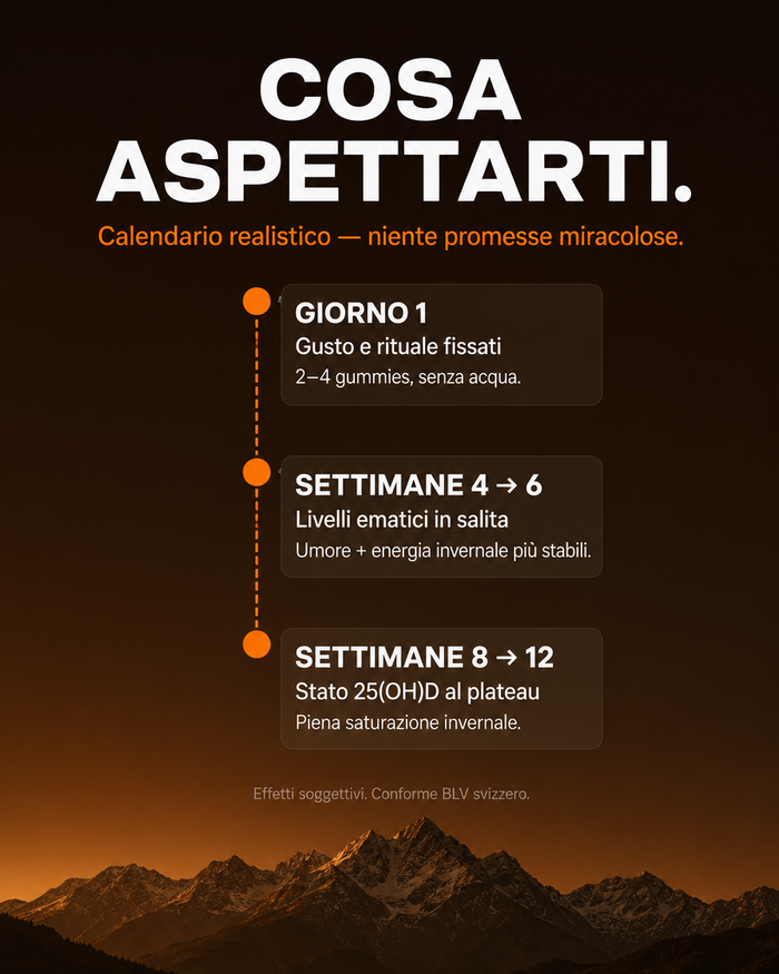 it carousel-7-timeline